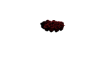 Addon-roses