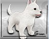 P- LOVELY PET DOG ANIMAT