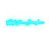 Skate Zone Banner Blue