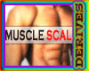 Muscle scaler