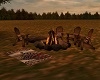 Rustic Bonfire Set