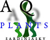 AQ  plant