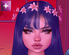 Moanah Set v3