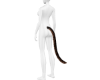 JL~Leo Tail
