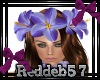 *RD* Purple Flower Crown