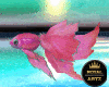 Pink Riding Fish