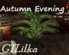 Autumn Evening  Plant