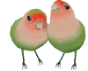 TF* Animated Love Birds