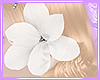 L| Flower Summer