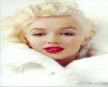 Marilyn Monroe/ white