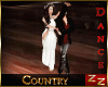 zZ Dance Couple Country