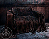 Rusty Covered Couch V.2.