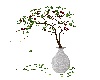 plant tree