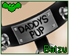 Daddy's Pup│F Collar