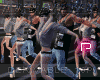 P♫TopRock 4 P10 Drv