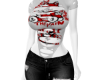 Destroied SET V1