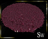 ! ! ! SW Rug 1