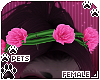 [Pets] Nia | rose crown