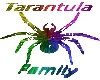 Tarantula Family