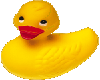ducks that r bf -