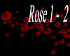 A** DJ Efect Rose