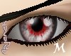 [apj] eye 41a M