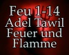 Adel Tawil