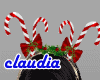 candy cane CROWN 2022