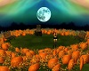 *Moonlit Pumpkin Patch*