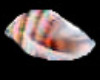 Seashell 4 Sticker