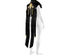 Dark Paladin Cloak