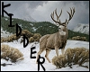 (K) Winter Mule Deer!