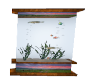country fish tank
