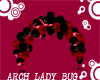 ~bando~balloon lady bug