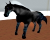 black rideable horse