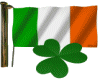 [NK]IrishFlag