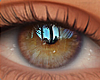 Eyes