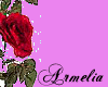 *RoseRed*