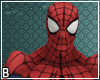 Spiderman Full Costume