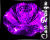 Purple Rose Lights