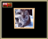 ET-Art Tiger Pic 5