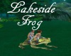 [BD]LakesideFrog