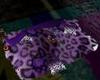Purple Leopard Rose bund