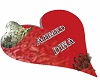 Ahmed  Dina heart pillow