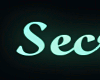 Secret Desires neon text