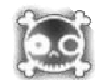 WHITE SKULL