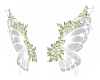 FG~ Fairy Wings White