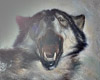 Night Wolf/ Howling