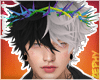 Z | Rainbow Thorn Crown