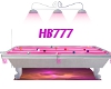 HB777 C.P. Pool Table 1
